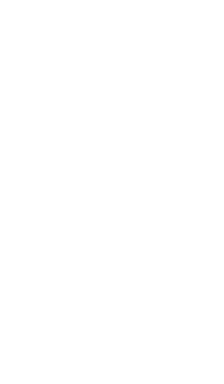 The Woods